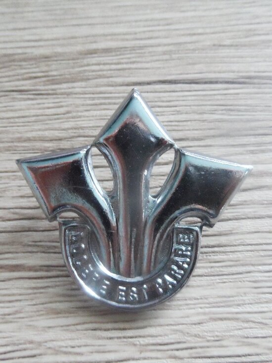 South Africa Badge (b3.2 - 45mm X 52mm) - Picture 1 of 2